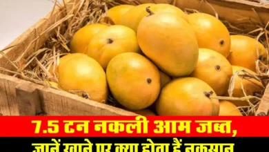 Fake Mango