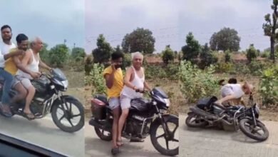 Umaria CMHO