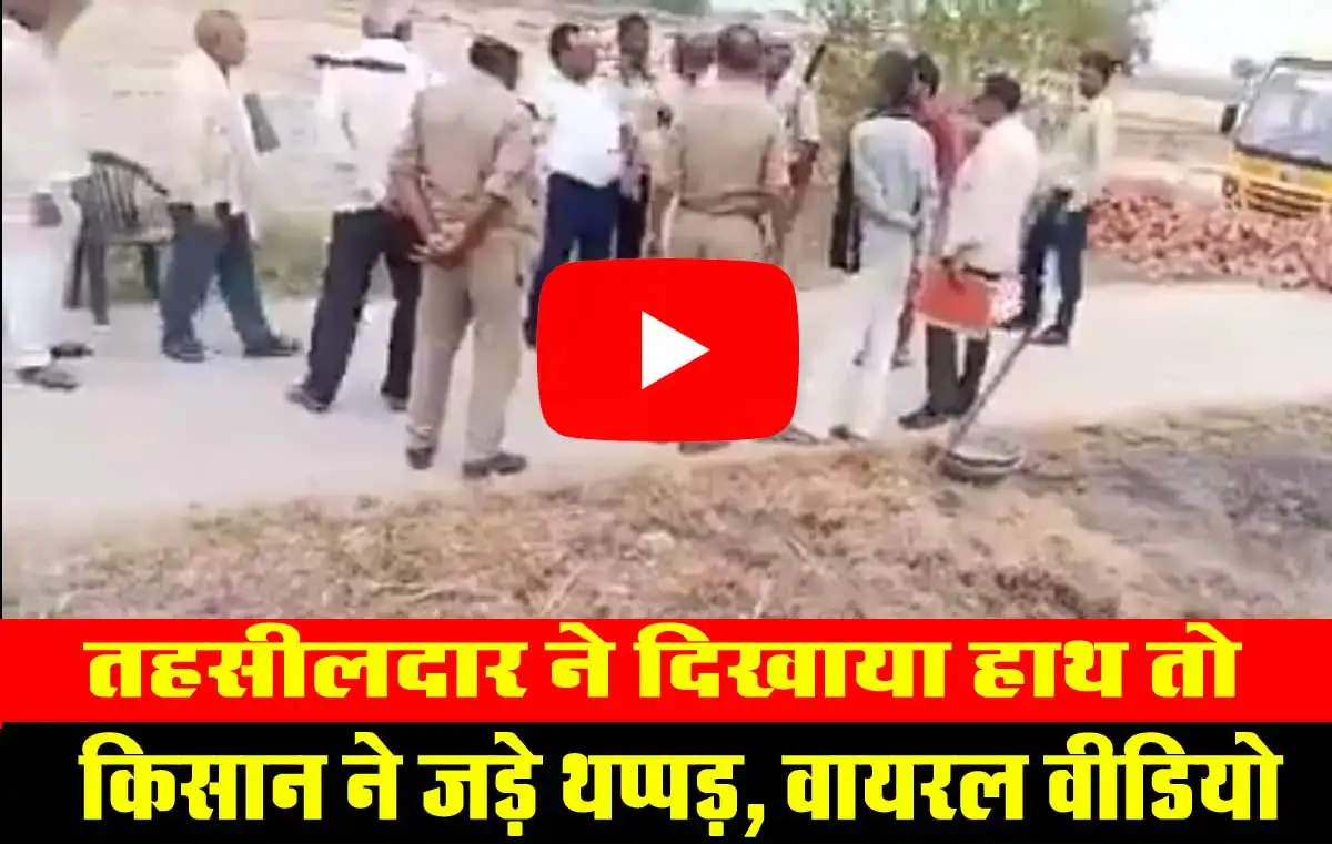 तहसीलदार ने दिखाया हाथ तो किसान ने जड़े थप्पड़, वायरल वीडियो 1 Viral Video On SDM