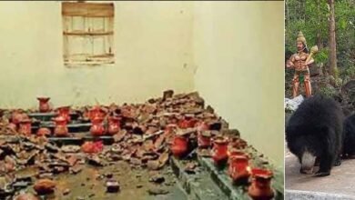 031 1 ज्योति कलश कक्ष के खपरैल तोड़कर घुसे दो भालुओं ने जमकर मचाया उत्पात