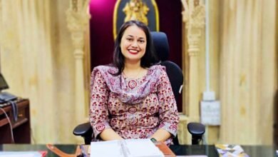 11A 121 IAS टीना डाबी बाड़मेर में सूअरों को क्यों नीलाम करवाएंगी? सामने आई ये वजह