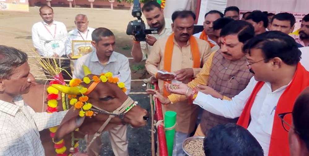 मुख्यमंत्री डॉ. यादव ने महेश्वर की गौ-शाला में किया गौ-पूजन 1 12A 1028 मुख्यमंत्री डॉ. यादव ने महेश्वर की गौ-शाला में किया गौ-पूजन