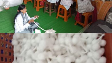 14 4 स्वावलंबी महिलाओं का सफर - झलक महिला स्वसहायता समूह की प्रेरणादायक यात्रा