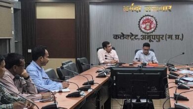15A 137 विद्युत से जुड़ी समस्याओं का संवेदनशीलता से समाधान करें-कलेक्टर