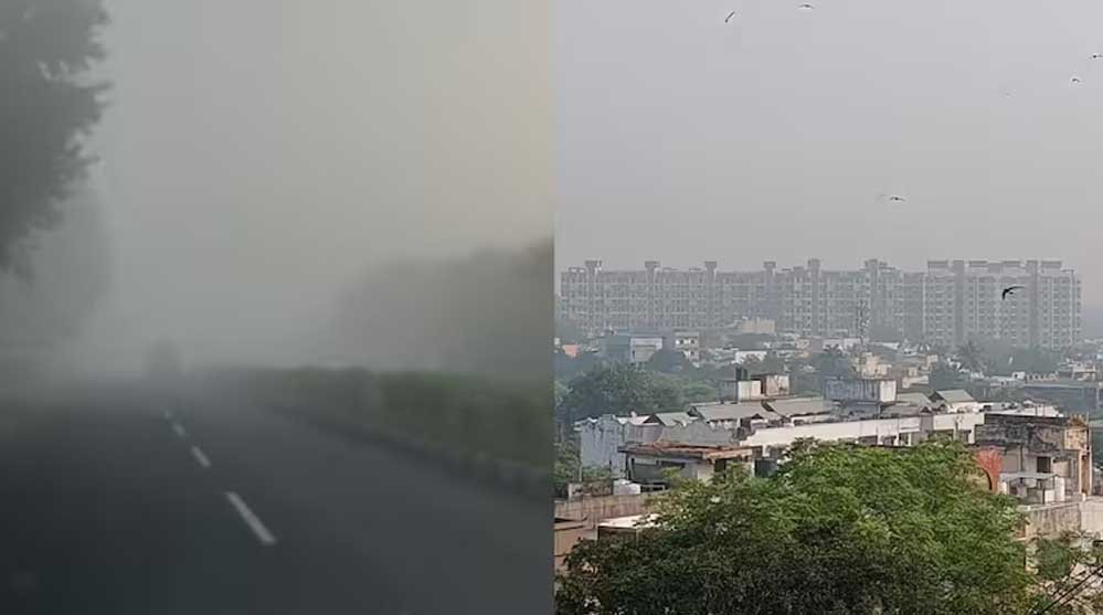 मध्य प्रदेश में धनतेरस पर दिखेगा तूफान दाना का असर, बारिश से बढ़ेगी ठंड, जानें क्या कहता है IMD 1 26 A 48 मध्य प्रदेश में धनतेरस पर दिखेगा तूफान दाना का असर, बारिश से बढ़ेगी ठंड, जानें क्या कहता है IMD