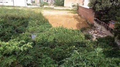 26 A 55 गनियारी का कानी पोखरी तालाब का अस्तित्व है खतरे में, मिट्टी भराव कार्य जारी