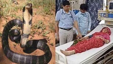 Rajasathan 03 1 राजस्थान-करौली में सांप ने फिर एक महिला को डसा, एक माह में सात ज्यादा लोग हुए शिकार