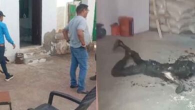 Rajasthan 04 1 4 राजस्थान-अजमेर की आइस फैक्ट्री में मिली युवक की जली लाश, चार्जर से कनेक्टेड मोबाइल भी जला