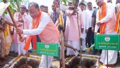 Sai2 मुख्यमंत्री विष्णु देव साय ने एक पेड़ मां के नाम अभियान के अंतर्गत लगाया केसर आम का पौधा