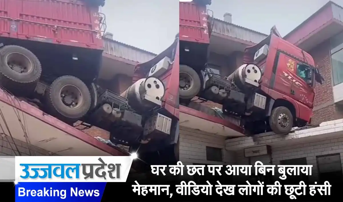 घर की छत पर आया बिन बुलाया मेहमान, वीडियो देख लोगों की छूटी हंसी, देखें वायरल वीडियो 1 Viral video