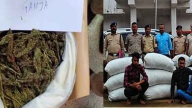 chhattisgarh 03 1 7 छत्तीसगढ़-बिलासपुर में दो तस्कर गिरफ्तार, बड़ी मात्रा में गांजा बरामद