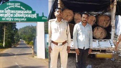 chhattisgarh 04 1 19 छत्तीसगढ़-बलरामपुर के जंगल से आधी रात को पकड़ी पिकअप, सात नग साल की लकड़ी बरामद