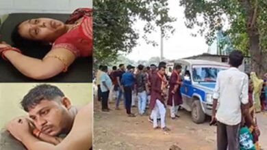chhattisgarh 04 1 6 छत्तीसगढ़-सारंगढ़ में कलश यात्रा में अचानक मधुमक्खियों का हमला, भगदड़ में तालाब में कूदकर बचाई जान