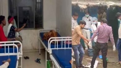 chhattisgarh 05 1 16 छत्तीसगढ़-सक्ति में सात दिन से पूजा-पाठ कर रहे थे दो बेटों की मौत, महिला-दो बेटियां और एक बेटा अस्पताल में भर्ती