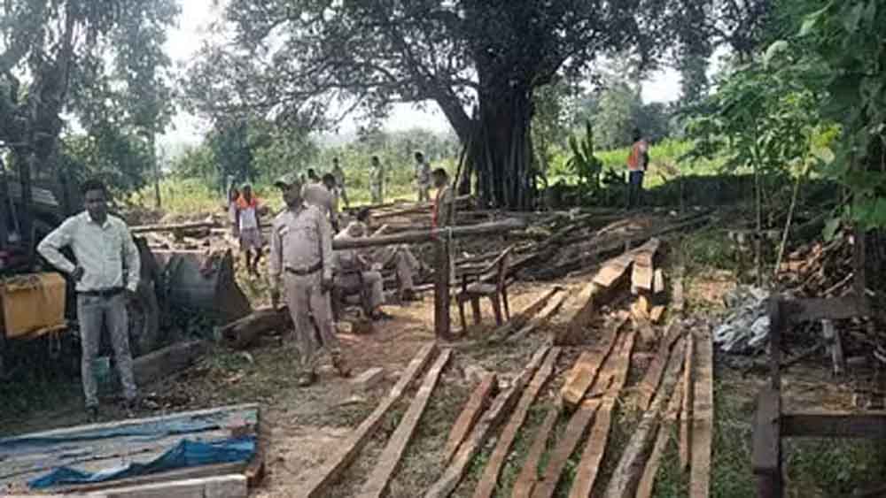 छत्तीसगढ़-पेंड्रा में सरपंच के घर मिली बेशकीमती लकड़ी, कार्रवाई में जुटी वन विभाग की टीम 1 chhattisgarh 05 1 20 छत्तीसगढ़-पेंड्रा में सरपंच के घर मिली बेशकीमती लकड़ी, कार्रवाई में जुटी वन विभाग की टीम