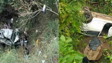 chhattisgarh 13 1 6 छत्तीसगढ़-गरियाबंद में गहरी खाई में गिरी कार, बाल-बाल बचे चिकित्सा अधिकारी