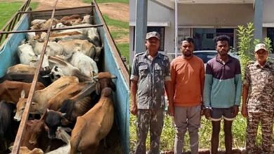 chhattisgarh 14 1 9 छत्तीसगढ़-कोंडागांव में दो गोतस्करों को पुलिस ने किया गिरफ्तार, 37 मवेशी बरामद