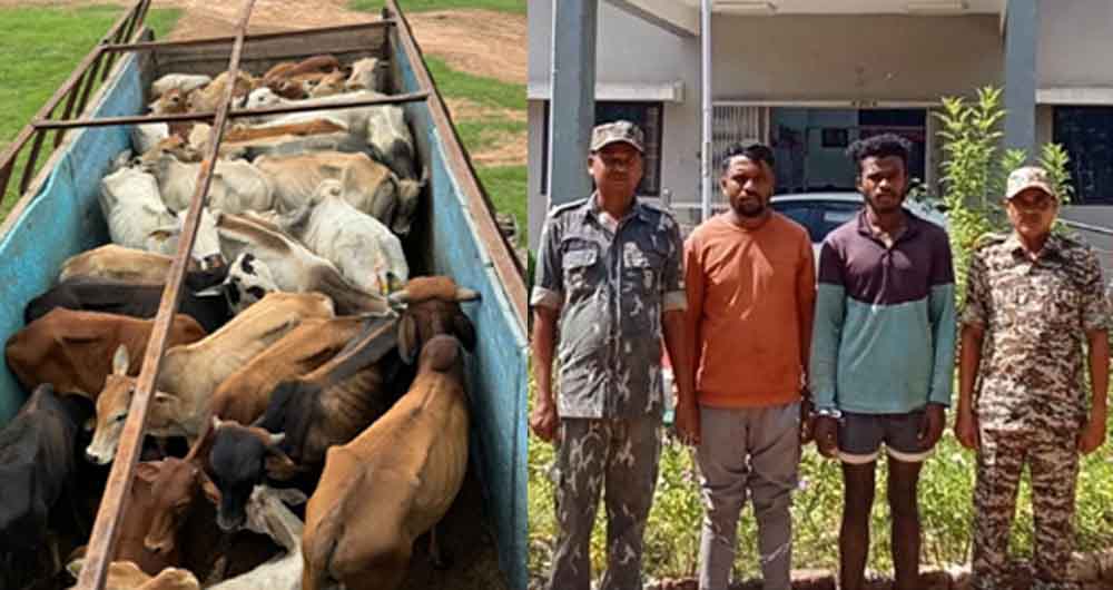 छत्तीसगढ़-कोंडागांव में दो गोतस्करों को पुलिस ने किया गिरफ्तार, 37 मवेशी बरामद 1 chhattisgarh 14 1 9 छत्तीसगढ़-कोंडागांव में दो गोतस्करों को पुलिस ने किया गिरफ्तार, 37 मवेशी बरामद