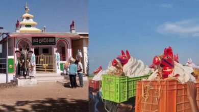 chhattisgarh 16 1 12 छत्तीसगढ़-बालोद में बाबा हरदेव का अनोखा मंदिर, मुराद पूरी होने पर चढ़ाते हैं मिट्टी और सीमेंट के घोड़े