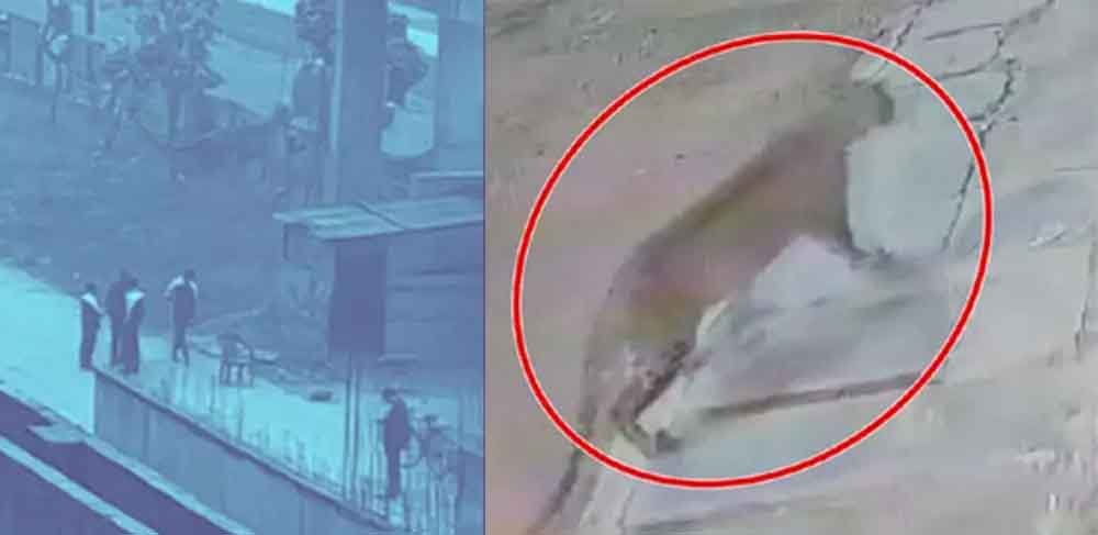 छत्तीसगढ़-गरियाबंद में तेंदुआ दिखने से फैली दहशत, वन विभाग ने किया अलर्ट 1 chhattisgarh 16 1 15 छत्तीसगढ़-गरियाबंद में तेंदुआ दिखने से फैली दहशत, वन विभाग ने किया अलर्ट