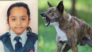 dog उज्जैन में कुत्ते के हमले के कारण एक सात साल की बच्ची की हुई मौत, घर के बहार खेल रही थी