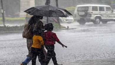 rain 27 2 मध्य प्रदेश के अधिकतर जिलों में अब बादल छाए रहेंगे