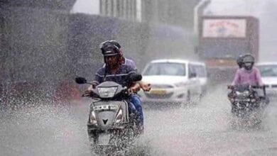 rain A 36 2 भोपाल-रायसेन सहित 31 जिलों में होगी बारिश, मंडला में पारा 34 डिग्री के पार, कैसा है आज का मौसम?