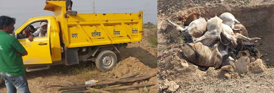 सिंगरौली में कचरा निस्तारण का कार्य कर रही सिटाडेल कंपनी के द्वारा किए जा रहे भ्रष्टाचार 1 1 100 सिंगरौली में कचरा निस्तारण का कार्य कर रही सिटाडेल कंपनी के द्वारा किए जा रहे भ्रष्टाचार