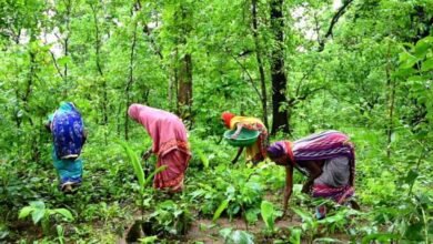 11A 69 तीन लाख से अधिक वन अधिकार दावे मान्य