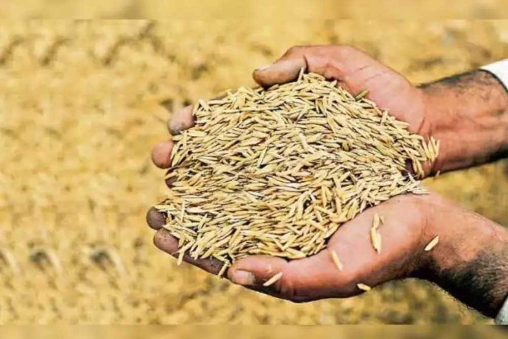 मध्य प्रदेश सरकार ₹2300 प्रति क्विंटल पर करेगी धान खरीदी, समस्या होने पर किसान यहां करें कॉल 1 12A 38 मध्य प्रदेश सरकार ₹2300 प्रति क्विंटल पर करेगी धान खरीदी, समस्या होने पर किसान यहां करें कॉल