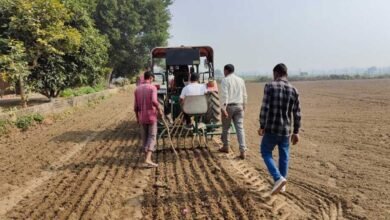 16A 76 मध्य प्रदेश के मालवा में किसान का रुझान एक बार फिर गेहूं की ओर बढ़ा, बंपर पैदावार की उम्मीद