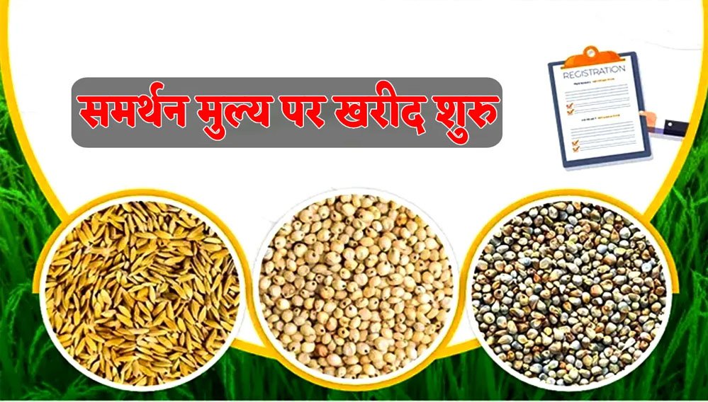 22 A 30 मध्य प्रदेश : किसानों के लिए बड़ी खुशखबरी! समर्थन मूल्य पर आज से ज्वार-बाजरा की खरीदी हुई शुरू
