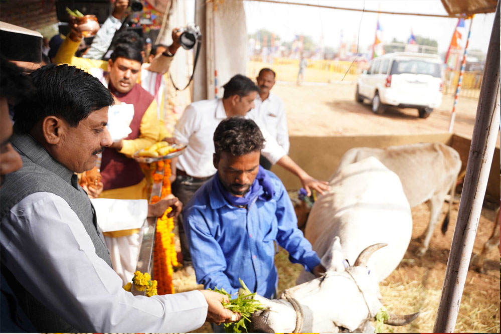 मुख्यमंत्री यादव ने किया 10 हजार गायों की क्षमता वाली हाईटेक गौशाला का भूमि-पूजन, बोले- गौमाता को कोई कष्ट नहीं होना चाहिए 1 23A 119 मुख्यमंत्री यादव ने किया 10 हजार गायों की क्षमता वाली हाईटेक गौशाला का भूमि-पूजन, बोले- गौमाता को कोई कष्ट नहीं होना चाहिए
