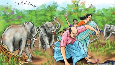 26A 118 मध्य प्रदेश सरकार ने वन्यजीव हमलों में मृत्यु होने पर मुआवजा राशि बढ़ाकर 25 लाख रुपये कर दी