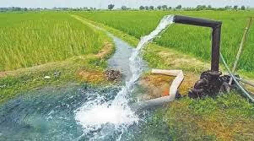 रबी सीजन में निर्बाध एवं गुणवत्तापूर्ण विद्युत आपूर्ति की समुचित व्यवस्था: ऊर्जा मंत्री तोमर 1 3 50 रबी सीजन में निर्बाध एवं गुणवत्तापूर्ण विद्युत आपूर्ति की समुचित व्यवस्था: ऊर्जा मंत्री तोमर