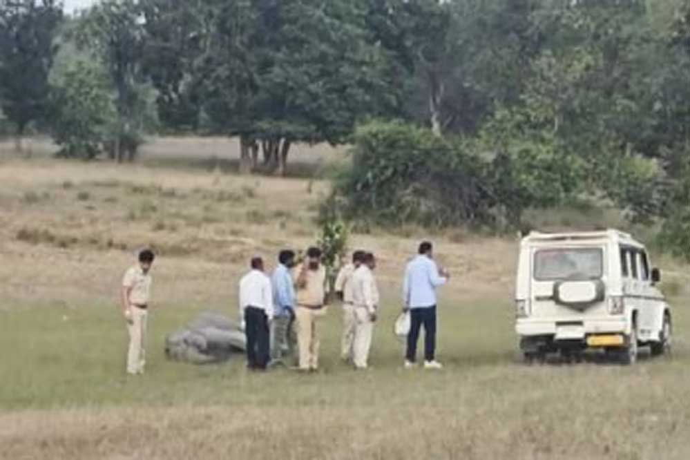 हाथियों की मौत के कारणों का फोरेंसिक रिपोर्ट से चलेगा पता, जल्द जाएगी रिपोर्ट 1 7A 34 हाथियों की मौत के कारणों का फोरेंसिक रिपोर्ट से चलेगा पता, जल्द जाएगी रिपोर्ट