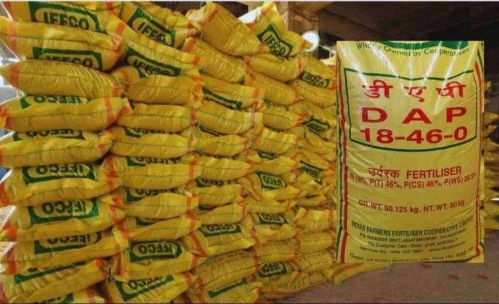 नगर घुवारा में DAP खाद की कालाबाज़ारी से ग्रामीण किसान परेशान 1 8A 46 नगर घुवारा में DAP खाद की कालाबाज़ारी से ग्रामीण किसान परेशान