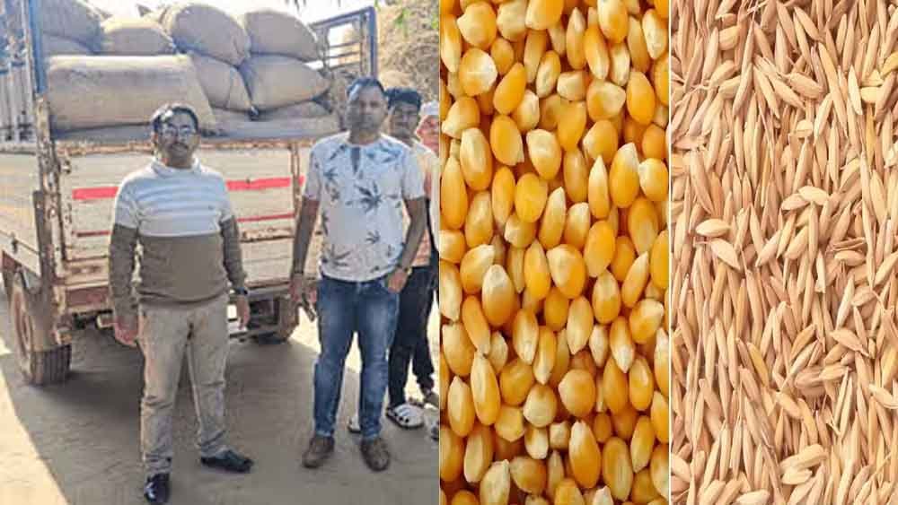 छत्तीसगढ़-कोंडागांव में 364 क्विंटल धान और मक्का जब्त, धान के अवैध परिवहन पर सख्त कार्रवाई 1 Chhattisgarh 011 21 छत्तीसगढ़-कोंडागांव में 364 क्विंटल धान और मक्का जब्त, धान के अवैध परिवहन पर सख्त कार्रवाई