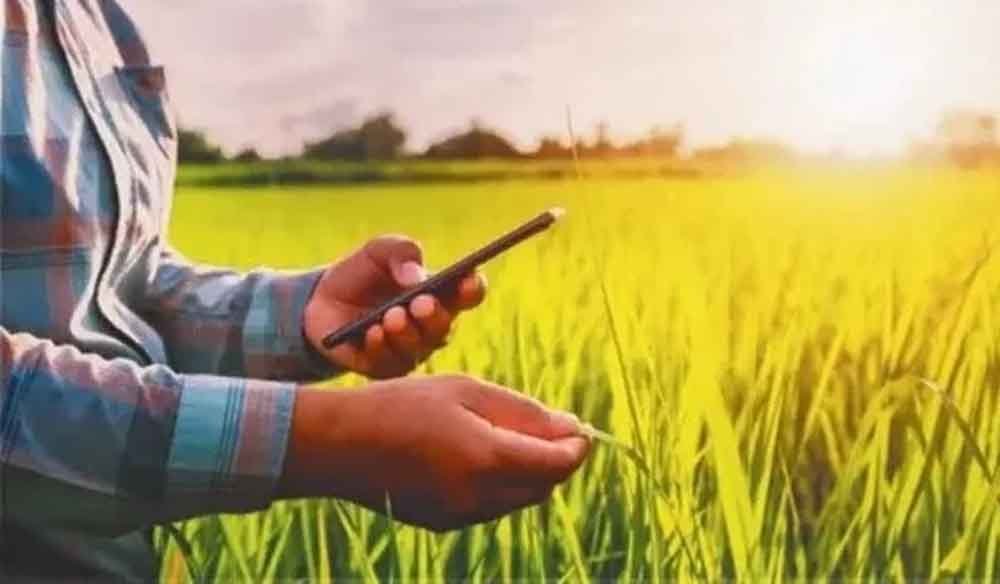 छत्तीसगढ़-डिजिटल कृषि से घर बैठे होंगे सभी काम, एग्रीस्टेक परियोजना से कृषकों मिलेगा लाभ 1 Chhattisgarh 03 1 19 छत्तीसगढ़-डिजिटल कृषि से घर बैठे होंगे सभी काम, एग्रीस्टेक परियोजना से कृषकों मिलेगा लाभ