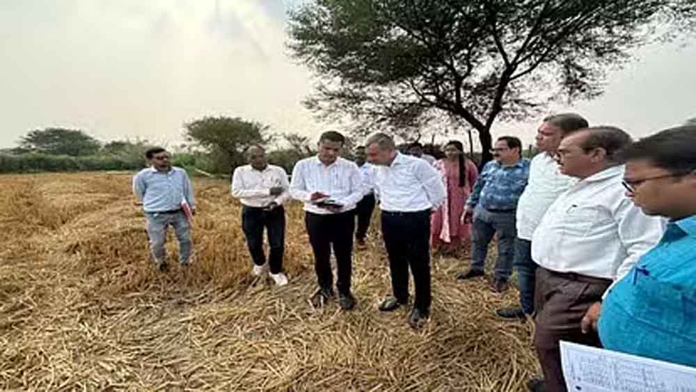 छत्तीसगढ़-बेमेतरा के एसडीएम ने पटवारी को किया निलंबित, फसल गिरदावरी में लापरवाही पर गिरी गाज 1 Chhattisgarh 04 2 13 छत्तीसगढ़-बेमेतरा के एसडीएम ने पटवारी को किया निलंबित, फसल गिरदावरी में लापरवाही पर गिरी गाज