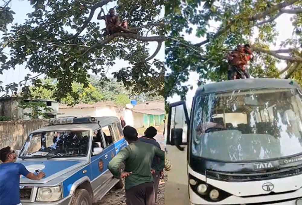 छत्तीसगढ़-रायगढ़ में मायके गई पत्नी तो फांसी लगाने पेड़ पर चढ़ा पति, बस लाकर पुलिस ने एक घंटे बाद नीचे उतारा 1 Chhattisgarh 05 1 9 छत्तीसगढ़-रायगढ़ में मायके गई पत्नी तो फांसी लगाने पेड़ पर चढ़ा पति, बस लाकर पुलिस ने एक घंटे बाद नीचे उतारा