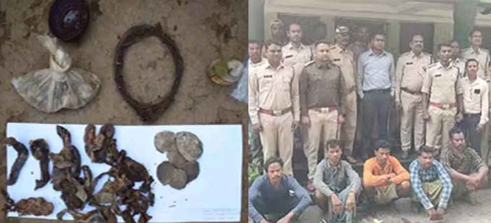 छत्तीसगढ़-बलौदाबाजार में जंगली जानवरों के पांच शिकारी गिरफ्तार, पुलिस गश्त के दौरान की कार्रवाई 1 Chhattisgarh 06 1 8 छत्तीसगढ़-बलौदाबाजार में जंगली जानवरों के पांच शिकारी गिरफ्तार, पुलिस गश्त के दौरान की कार्रवाई