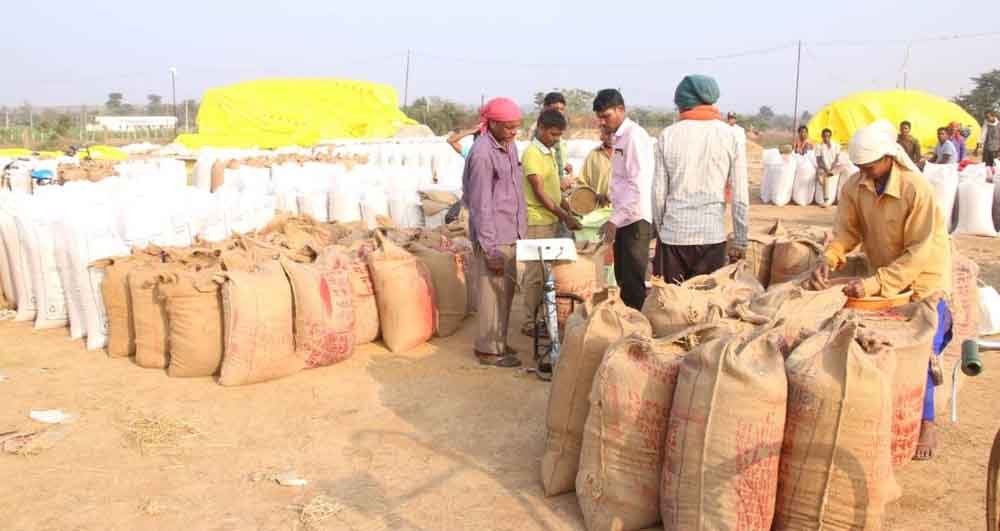 Chhattisgarh 07 1 8 छत्तीसगढ़ में ट्रायल रन पूराकर धान खरीदी 14 नवंबर से, सहकारिता आयुक्त ने अधिकारियों की ली वर्चुअल बैठक