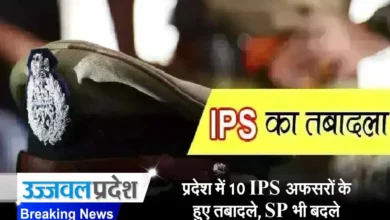 MP IPS Transfer List