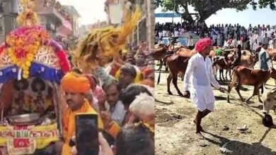 Rajasthan 04 1 1 राजस्थान-केकड़ी के मेले में गोपाल महाराज के बेवाण के नीचे से निकली लाल गाय, अच्छे जमाने का संकेत