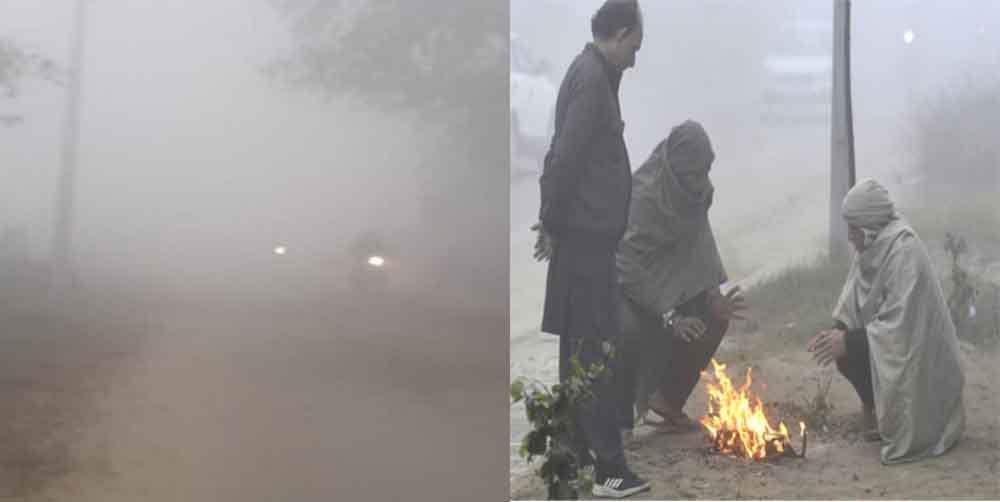 राजस्थान-सिरोही के माउंट आबू में पारा गिरकर 12 डिग्री पहुंचा, सर्दी ने दी दस्तक 1 Rajasthan 08 1 6 राजस्थान-सिरोही के माउंट आबू में पारा गिरकर 12 डिग्री पहुंचा, सर्दी ने दी दस्तक