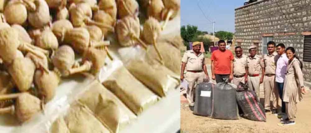 राजस्थान-नागौर में घर से 77 किलो डोडा पोस्त जब्त, आरोपी भनक लगते ही फरार 1 Rajasthan 11 1 राजस्थान-नागौर में घर से 77 किलो डोडा पोस्त जब्त, आरोपी भनक लगते ही फरार