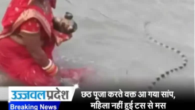 Viral Video