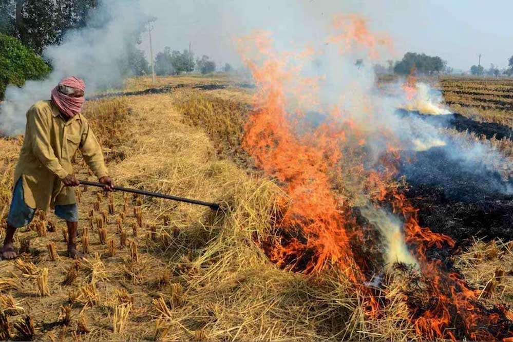 मध्य प्रदेश बार एसोसिएशन ने पराली जलाने के आरोप में पकड़े गए किसानों का केस नहीं लड़ने का फैसला लिया 1 praali fire77 1 2 मध्य प्रदेश बार एसोसिएशन ने पराली जलाने के आरोप में पकड़े गए किसानों का केस नहीं लड़ने का फैसला लिया