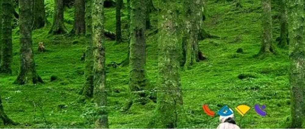 भारतीय वन सेवा के दो अधिकारी स्थानांतरित 1 van 5 भारतीय वन सेवा के दो अधिकारी स्थानांतरित